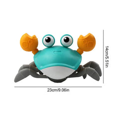 Crawling Crab Musical Toy