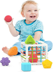 Huanger Shape Sorting Toy