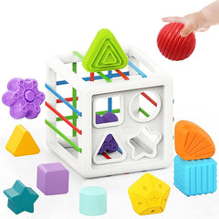 Huanger Shape Sorting Toy