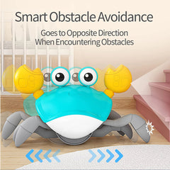 Crawling Crab Musical Toy