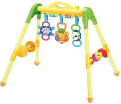 Huanger Baby Play Gym