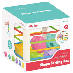 Shape Sorting Box Playset
