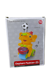 Musical Toy with Lights & Sound