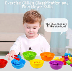 Colorful Counting Bears with Matching Cups