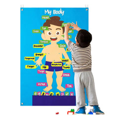 Human Body Parts Felt Story Board Set