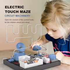 Electric Maze Experiment